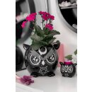 KILLSTAR Vaso da fiori - Owl