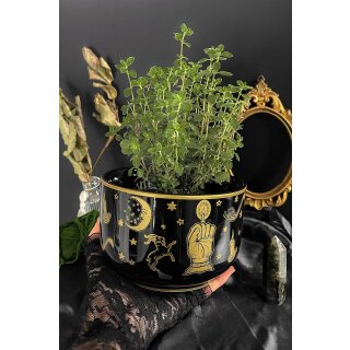 KILLSTAR Pot de fleurs - Folk Horror