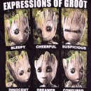 Guardians Of The Galaxy Ladies Tank Top - Expressions Of Groot
