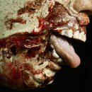 Exit Skin Latex Wound - Zombie Mouth Harvey