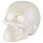 Killstar Decorazione del cranio - Decorazione del cranio Aura Bianco