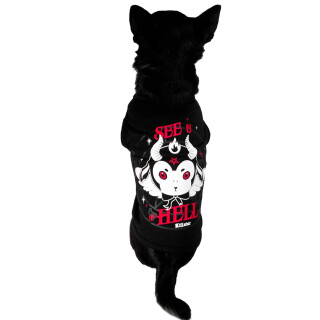 Killstar Dog Vest - See U In Hell L