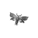 Killstar Haarspange - Death Moth Silver